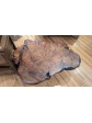 Redwood Burl Coffee Table